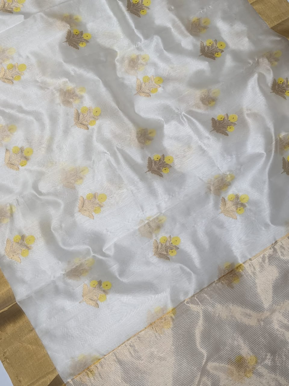 Celebrity-Inspired Chanderi Handloom Pattu Silk Saree – Meenakari Butta & Zari Pallu