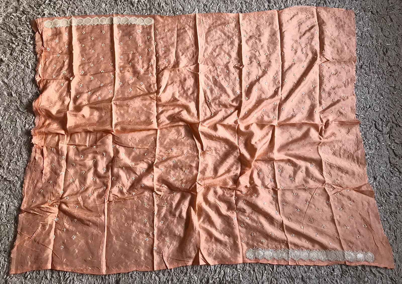 Soft Organza Silk Handpainted & Handwork Saree