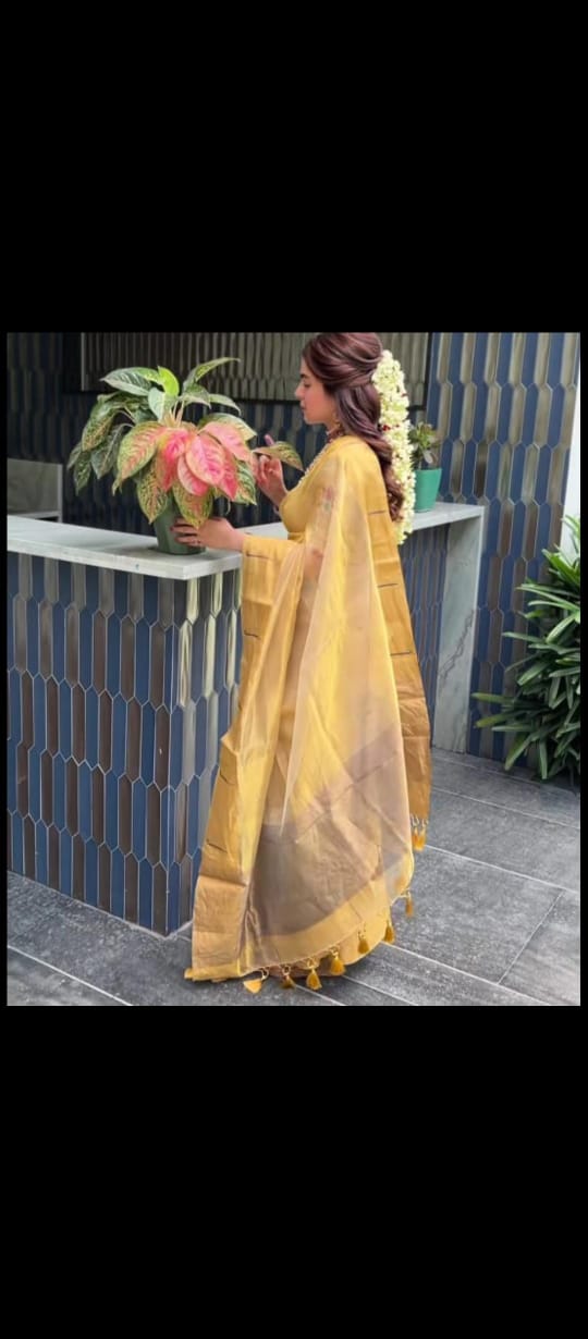 Handloom Chanderi Tissue Silk Saree with Zari Weaving & Muniya Border