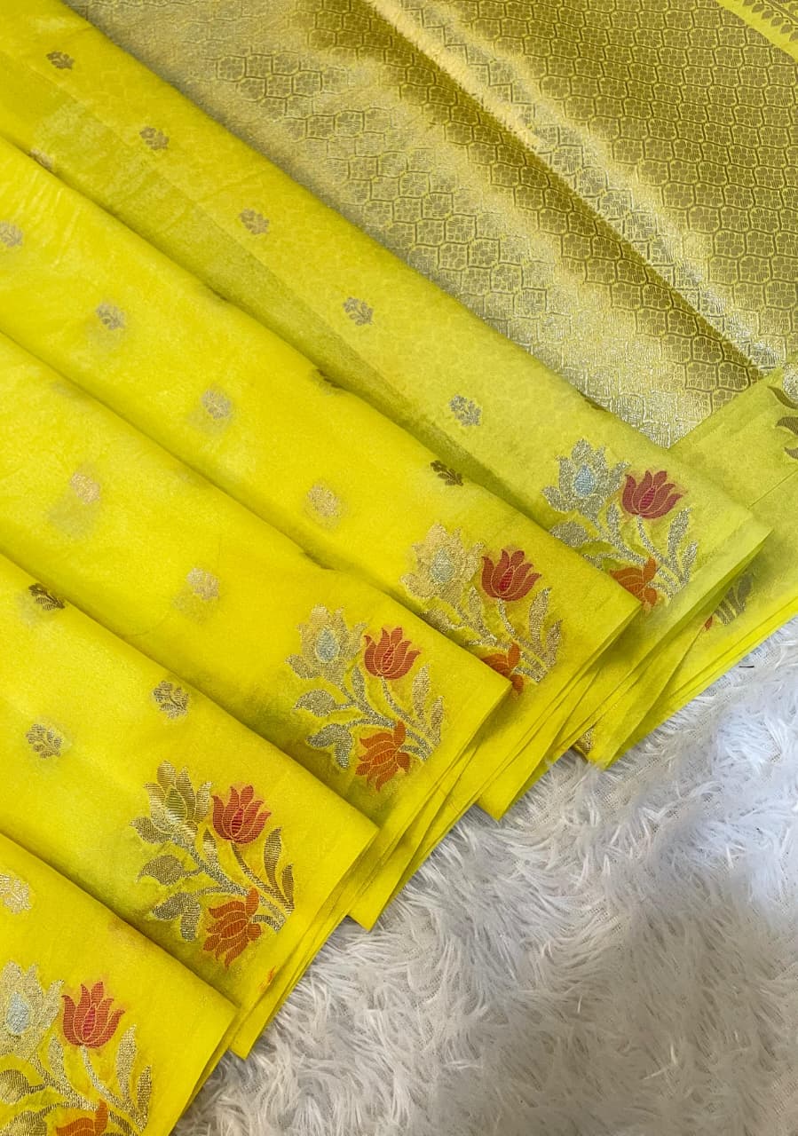 Banarasi exclusive Dyeble RAW MANGO Silk Saree