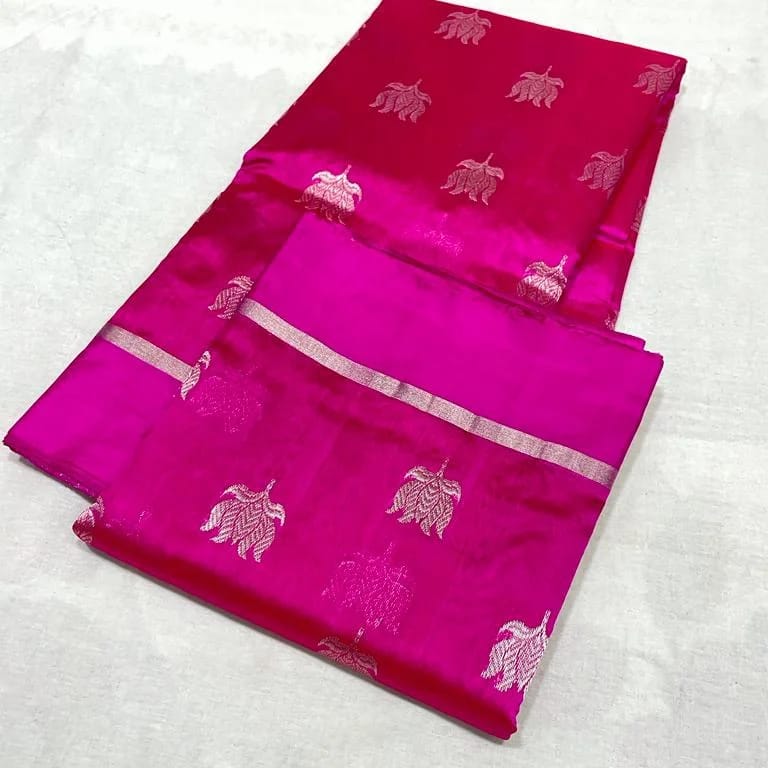 Rani Pink Chanderi Pattu Silk All Over Butte Resham Border Saree