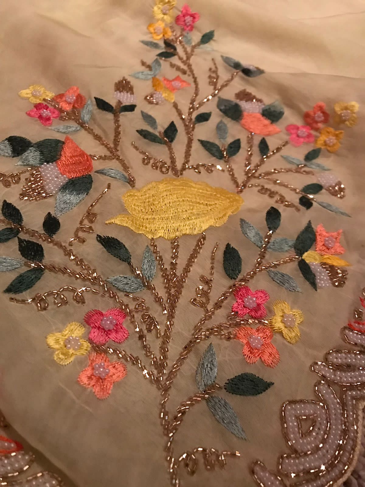 “Elegant Pastel Organza Silk Saree with Resham, Russian Silk & Pearl Detailing”