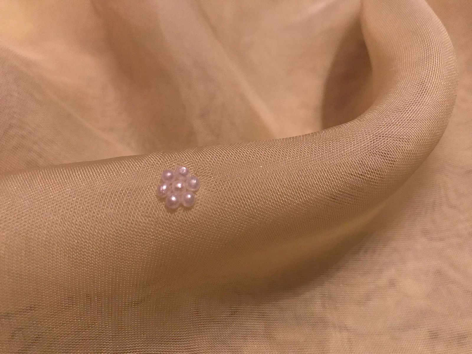 “Elegant Pastel Organza Silk Saree with Resham, Russian Silk & Pearl Detailing”