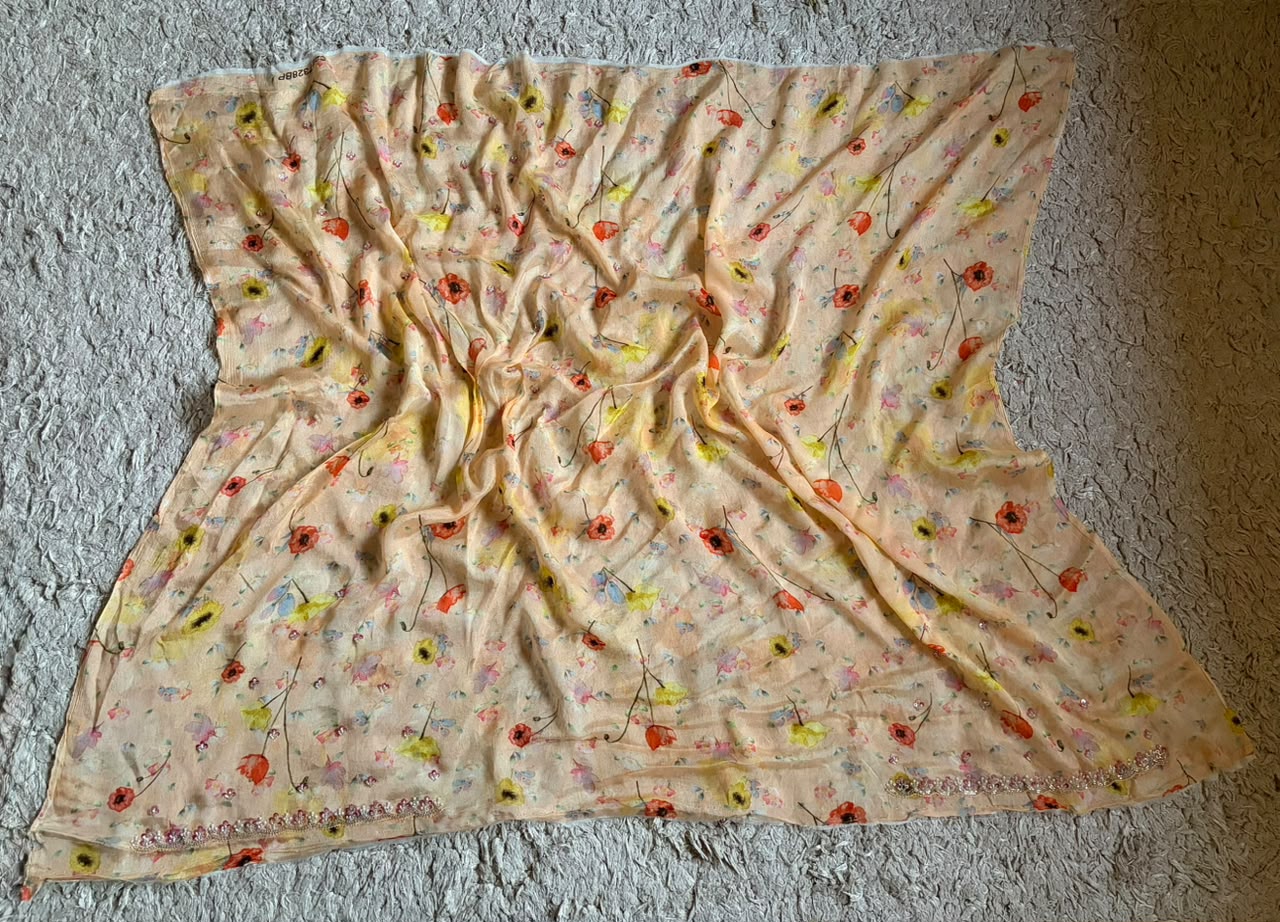 Exclusive Premium Pure Chinnon Silk Peach Saree Embellished With Intricate Pearl Sequins Cut Daana Handwork