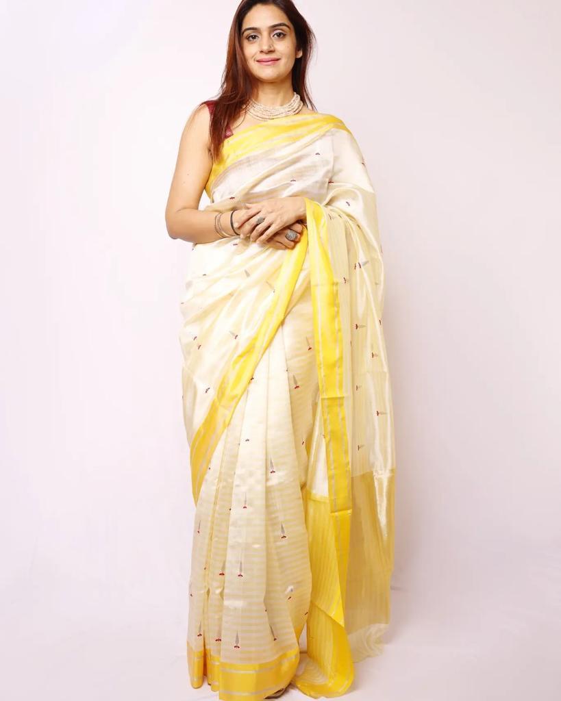 White Premium Chanderi Pattu Silk Saree with Elegant Resham Border