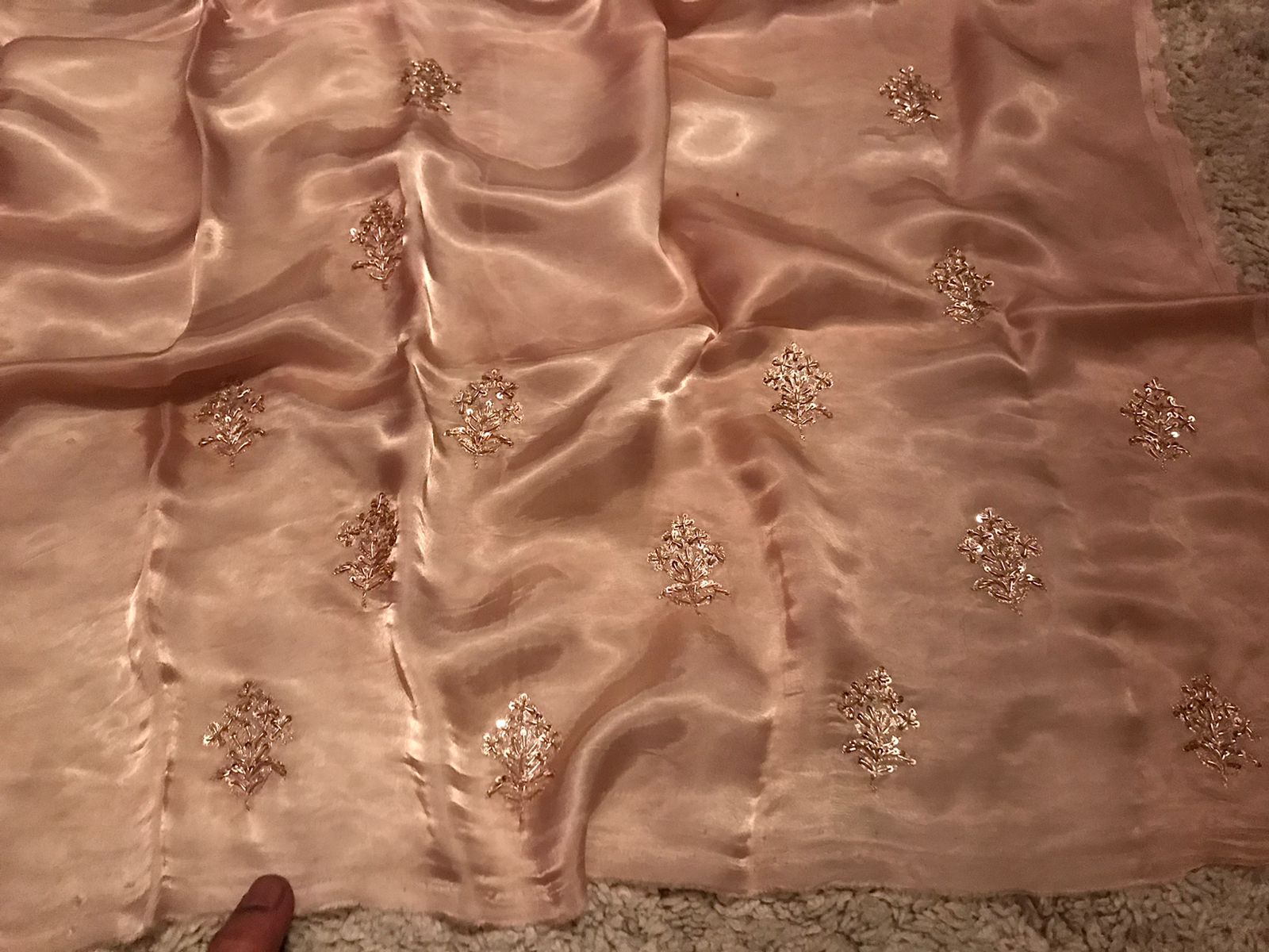 Luxury Organza Silk Saree with Lavish Zardozi & Running Handwork Blouse