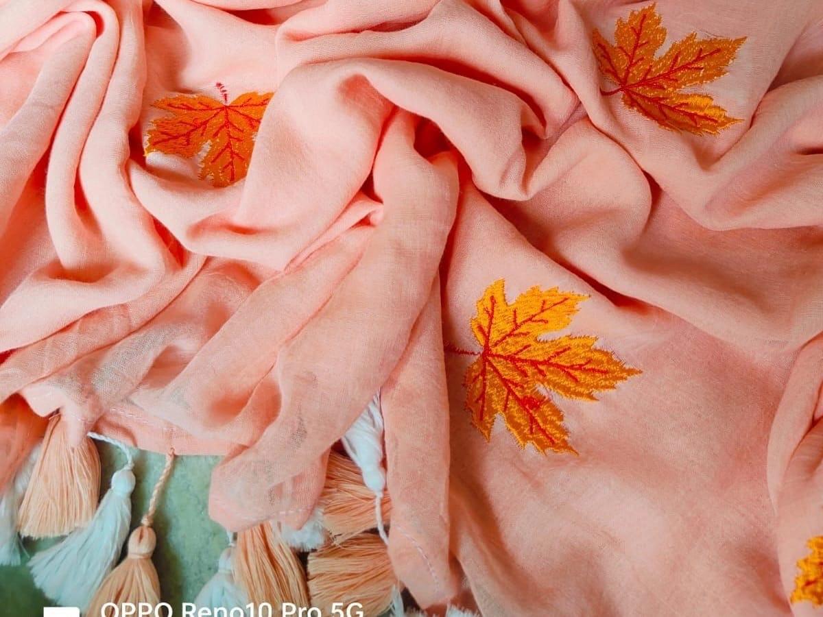 MUL MUL COTTON EMBROIDERY SAREE