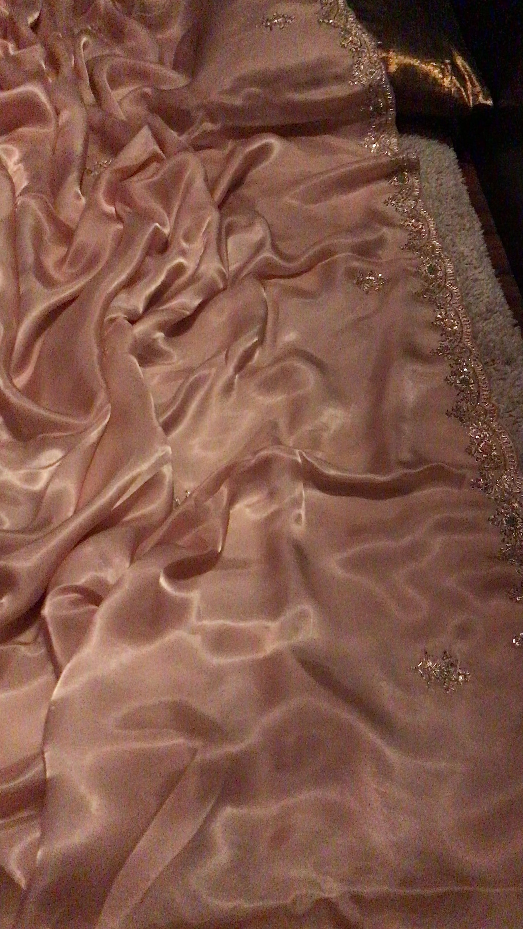 Luxury Organza Silk Saree with Lavish Zardozi & Running Handwork Blouse