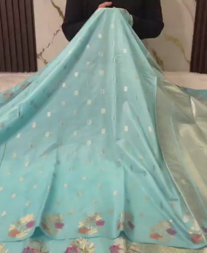 Banarasi exclusive Dyeble RAW MANGO Silk Saree