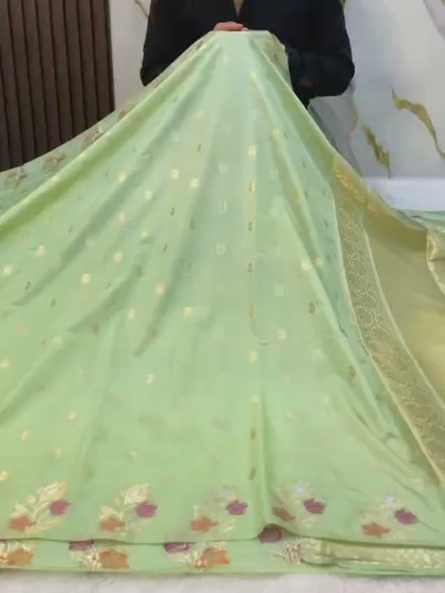 Banarasi exclusive Dyeble RAW MANGO Silk Saree