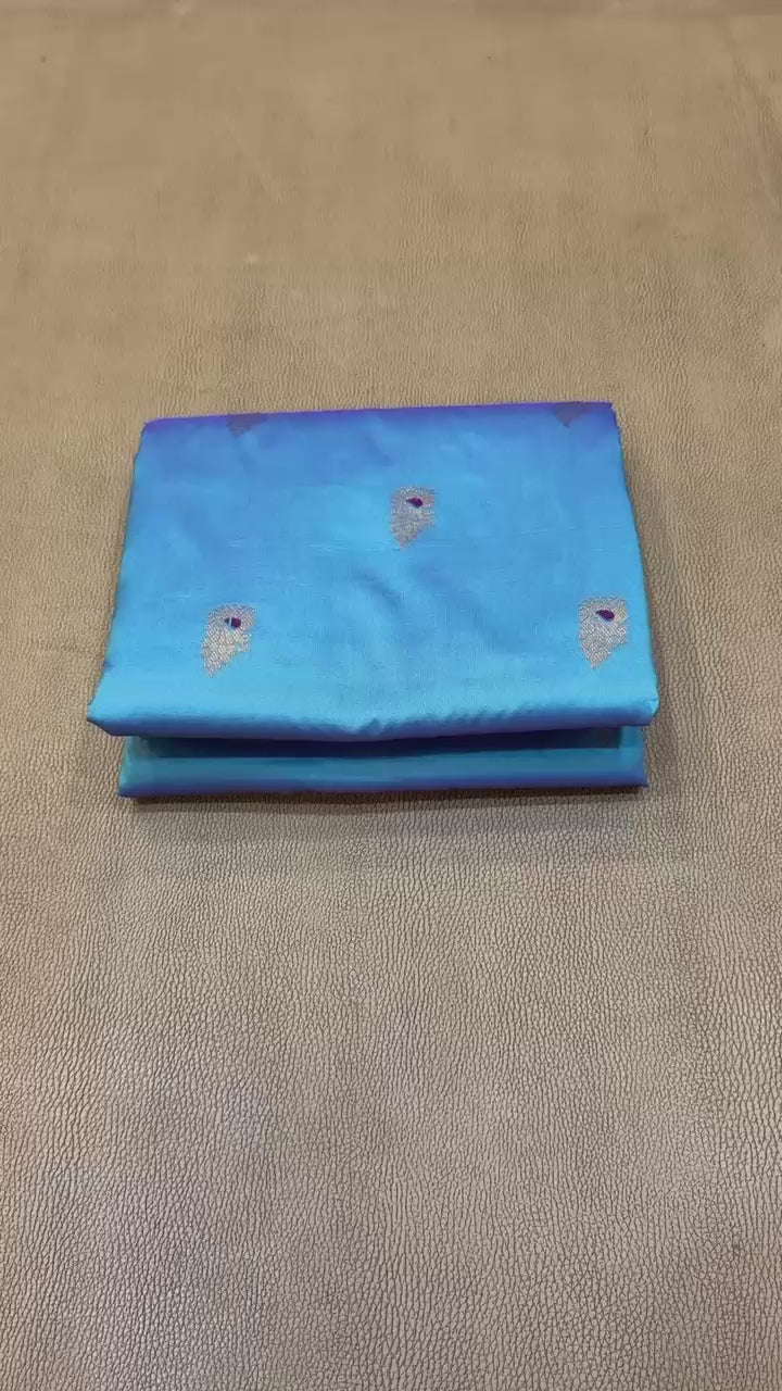 Dagina Peshwai Paithani – Where Tradition Meets Luxury