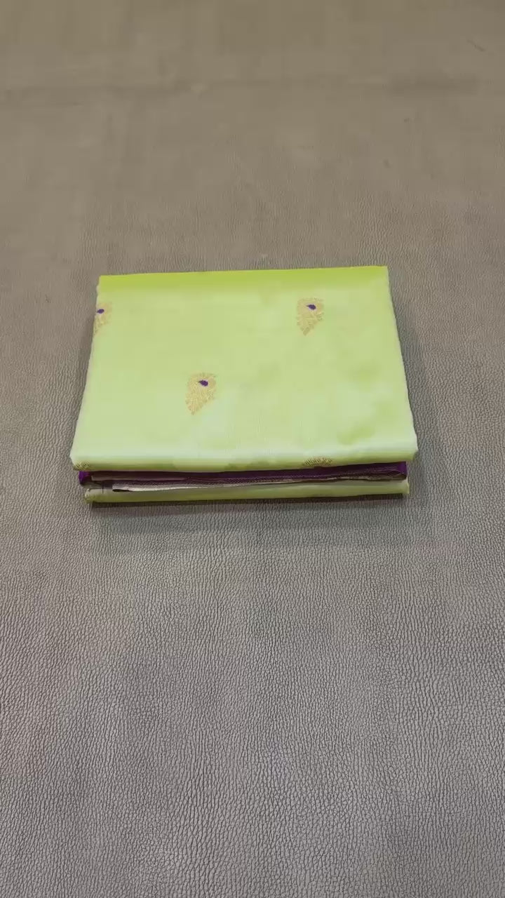 Dagina Peshwai Paithani – Where Tradition Meets Luxury