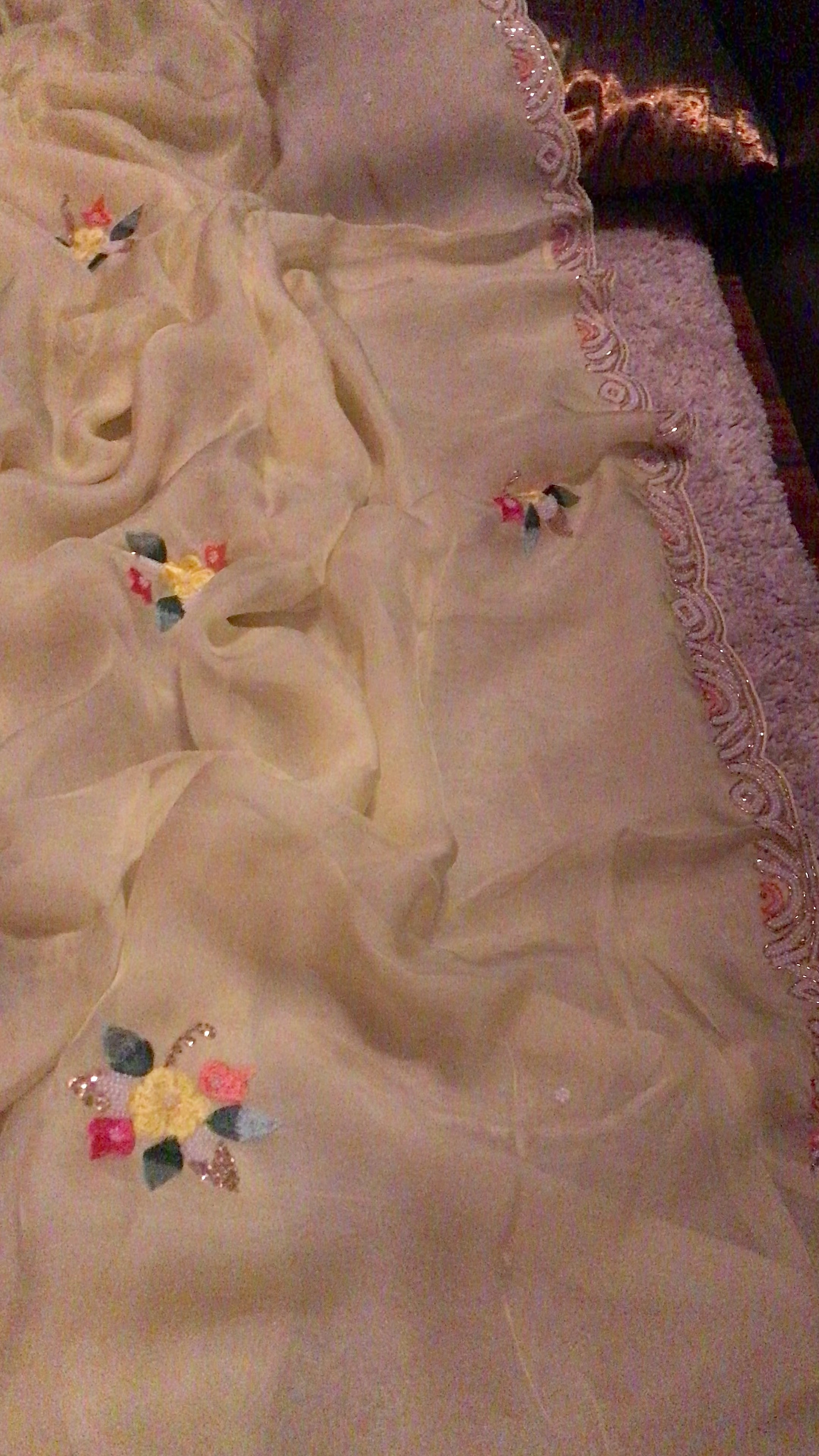 “Elegant Pastel Organza Silk Saree with Resham, Russian Silk & Pearl Detailing”