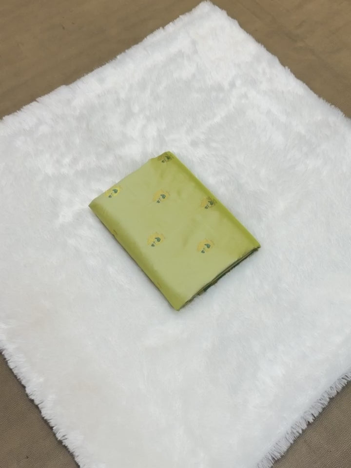 BEAUTIFUL SOFT SILK GADWAL PAITHANI SAREE