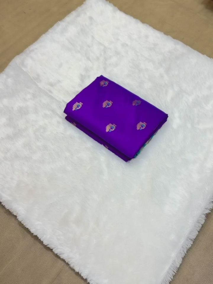 BEAUTIFUL SOFT SILK GADWAL PAITHANI SAREE